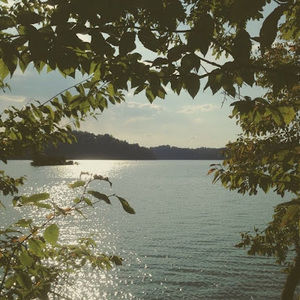 Meet your Posher, Greta